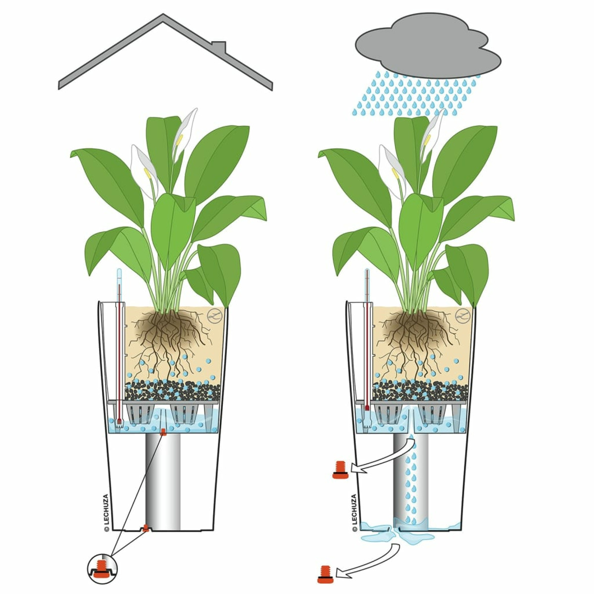 Diagramme d'un système de pot de plante, illustrant le flux d'eau et les instructions d'entretien.
