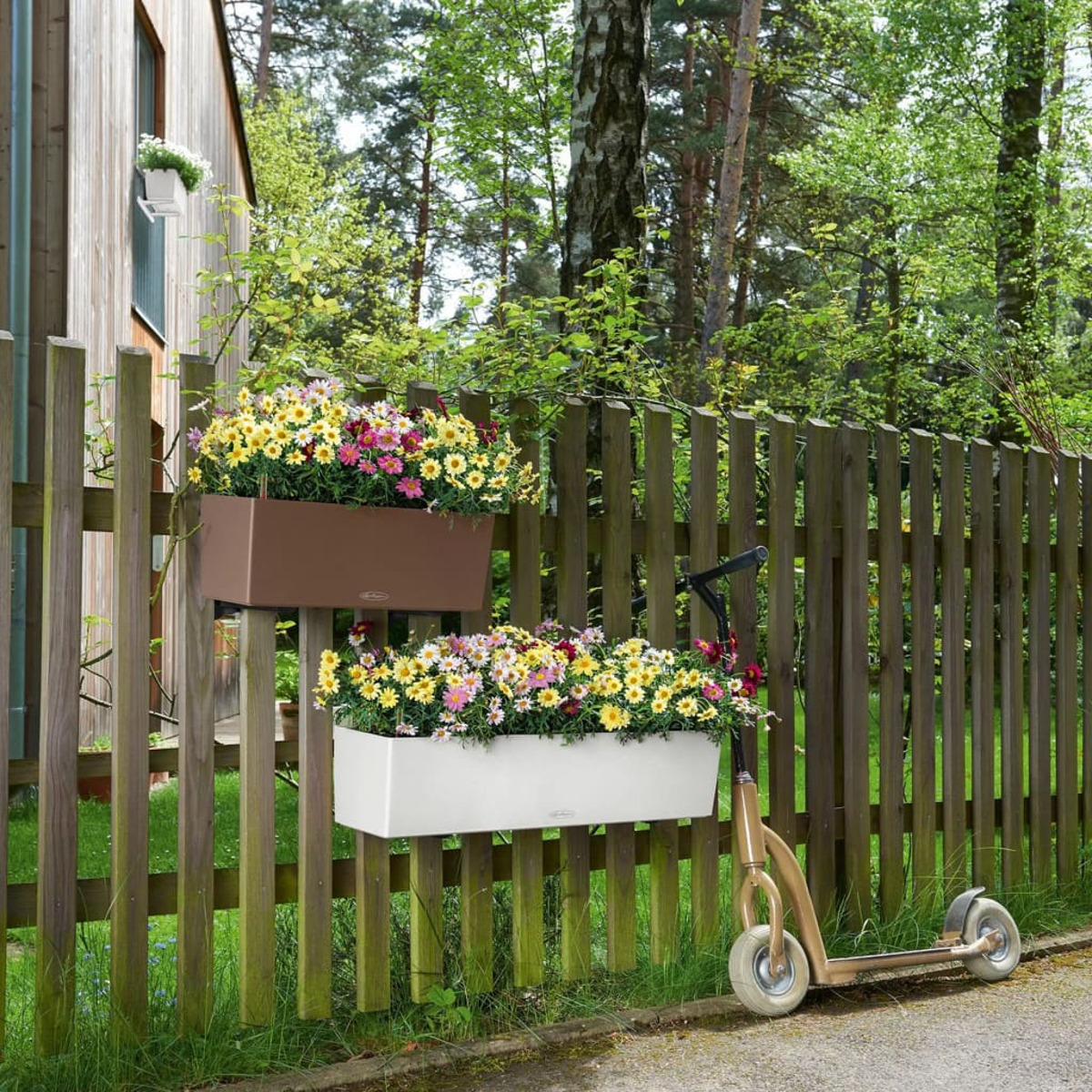 Gartenszene mit Pflanzen in braunen und weißen Töpfen auf einem Holzzaun, ein Roller.