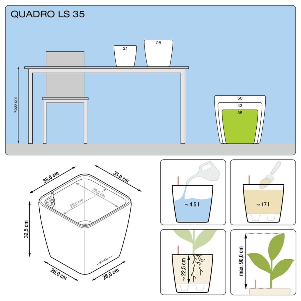 Diagramma di un vaso, dimensioni e una pianta con radici. Anche icone di irrigazione e fertilizzanti.