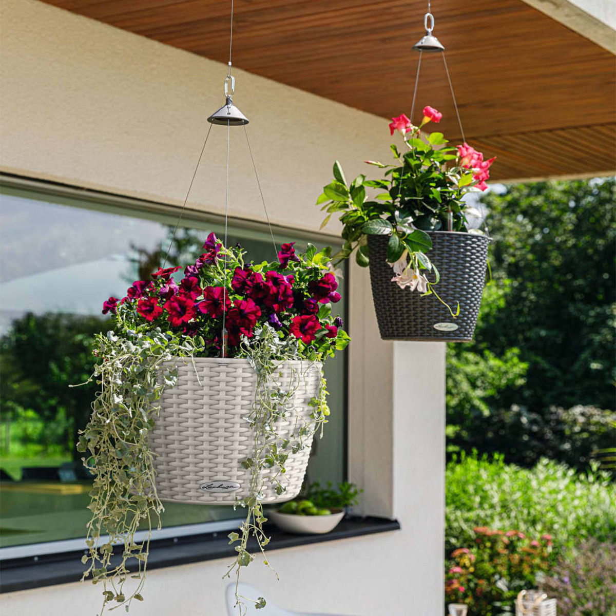 Paniers de fleurs suspendus avec des fleurs vibrantes sous un porche.