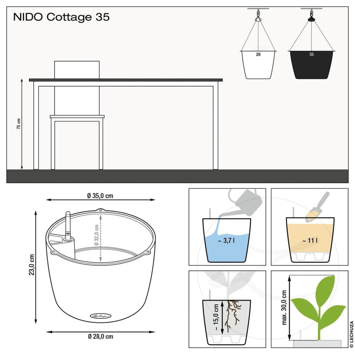 Diagramme montrant les dimensions du pot, les options de suspension et les instructions d'arrosage.