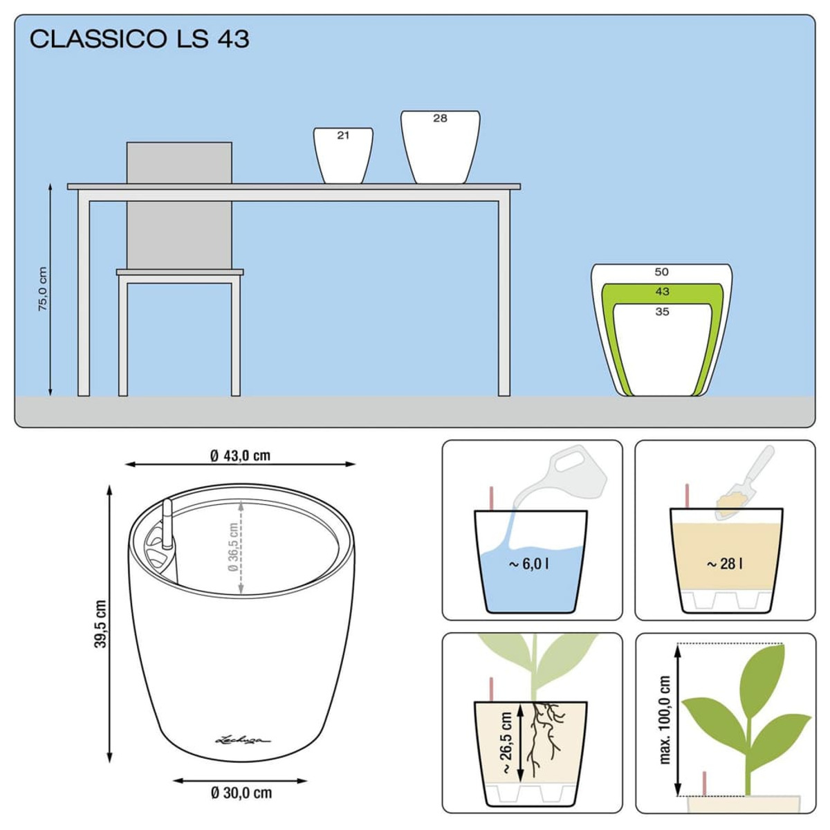 Diagramme de pot de plante avec mesures, niveaux d'eau et illustration de la croissance des plantes.