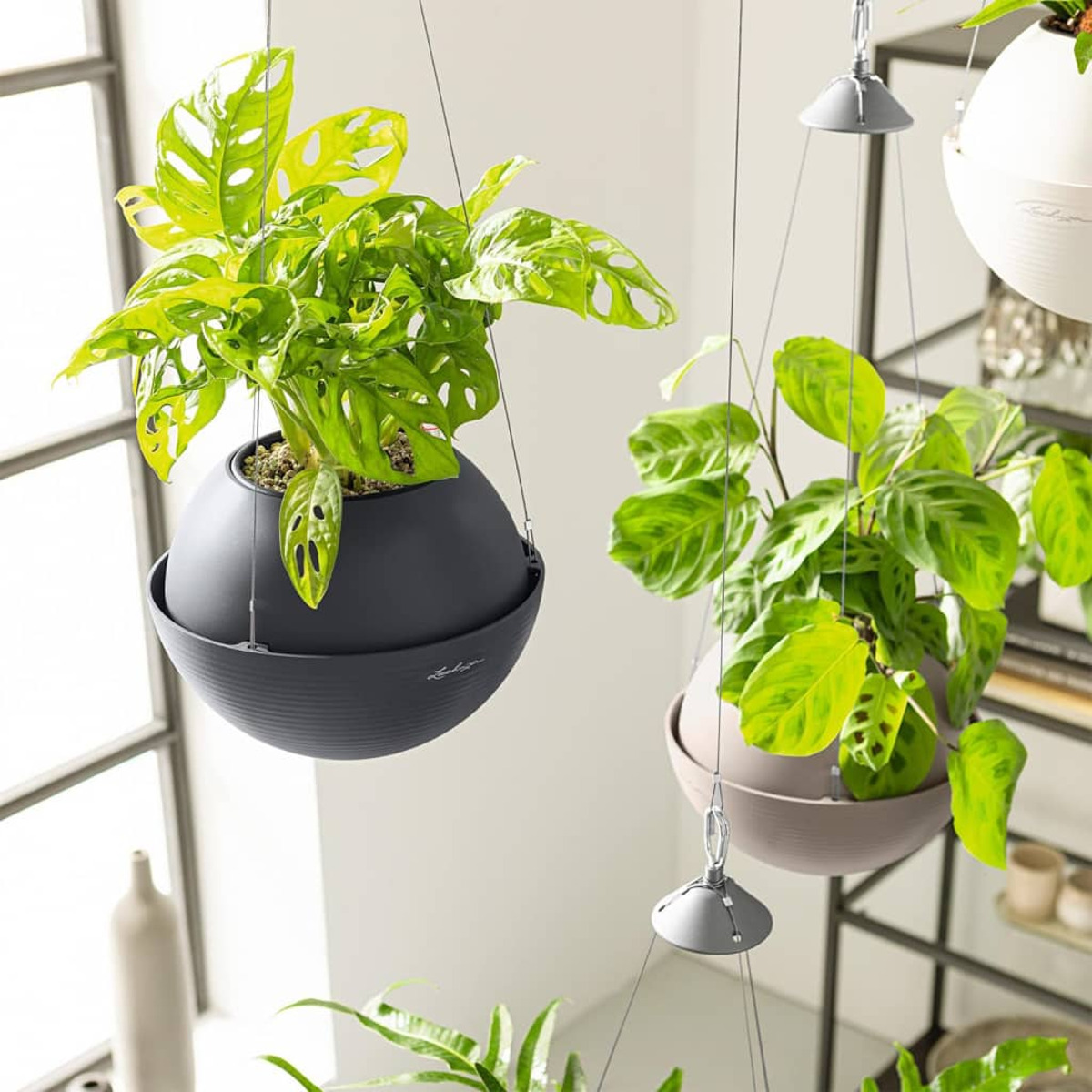 Des jardinières suspendues avec des plantes vertes, devant une fenêtre lumineuse et une décoration.