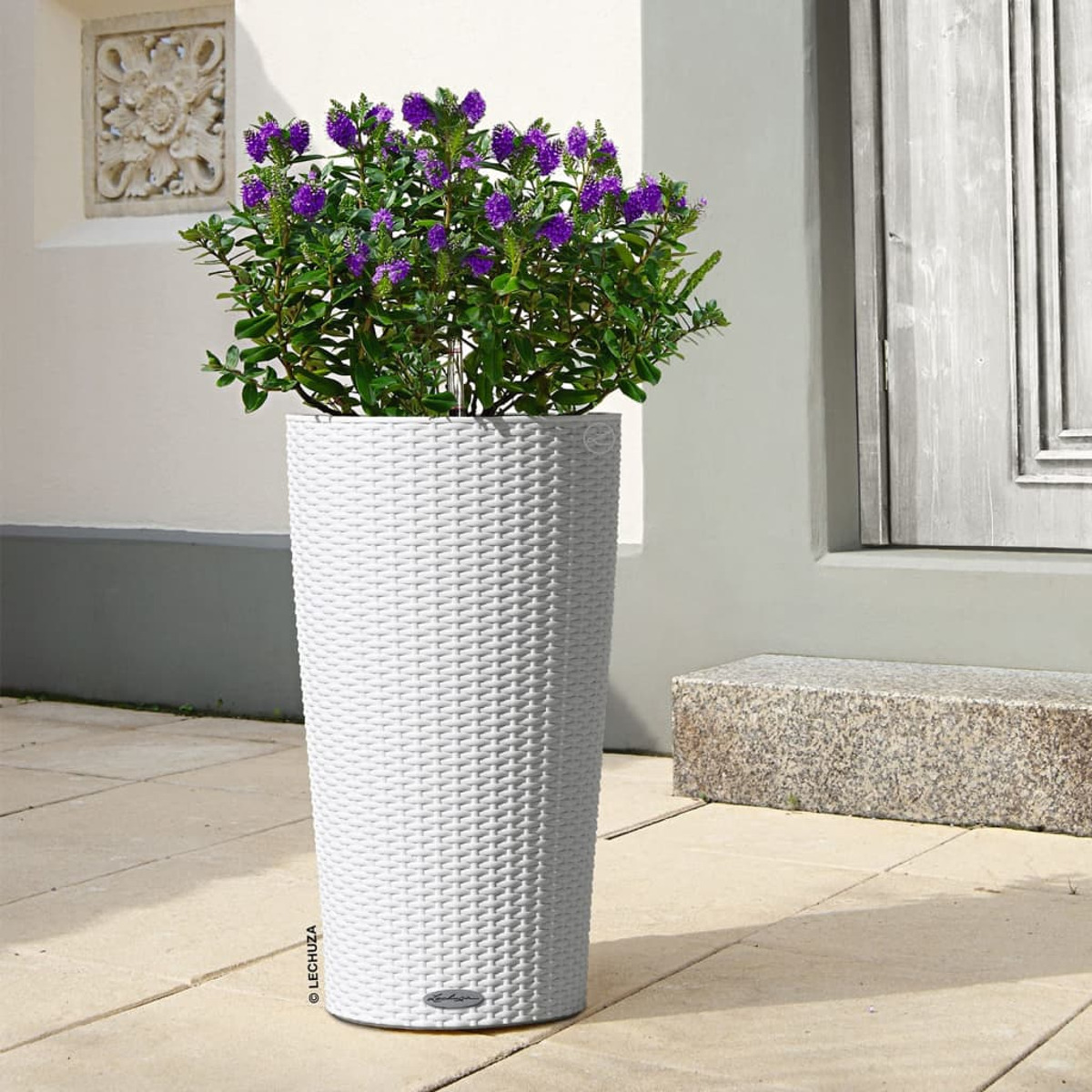 Un grand pot blanc avec un motif texturé, contenant une plante avec des fleurs violettes.