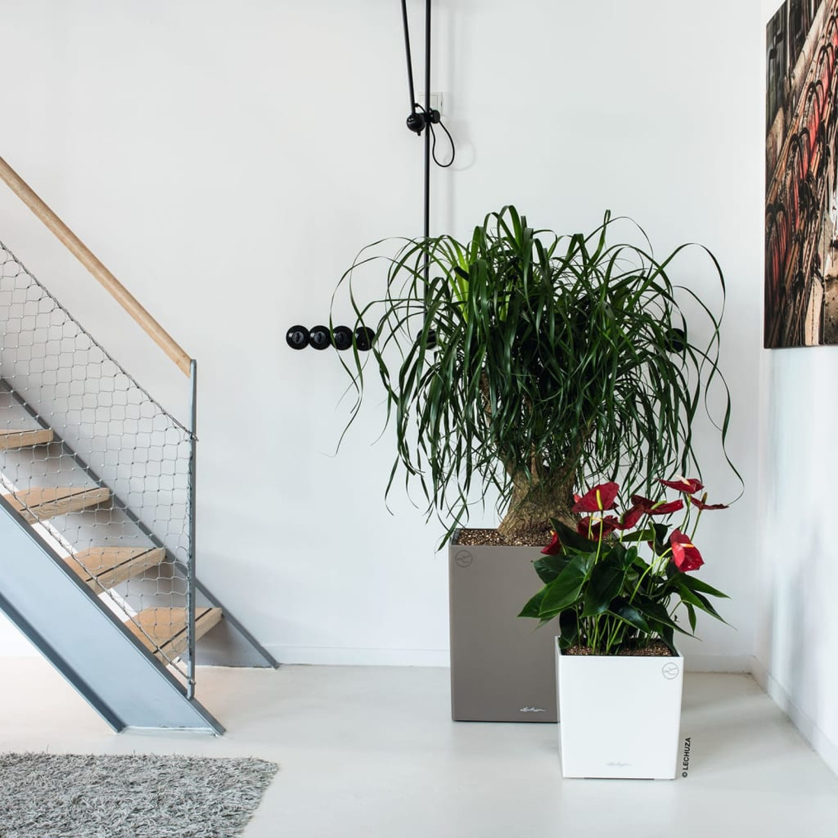 Innenszene mit Pflanzen, Treppen und Kunst. Weiße Wände und Boden.