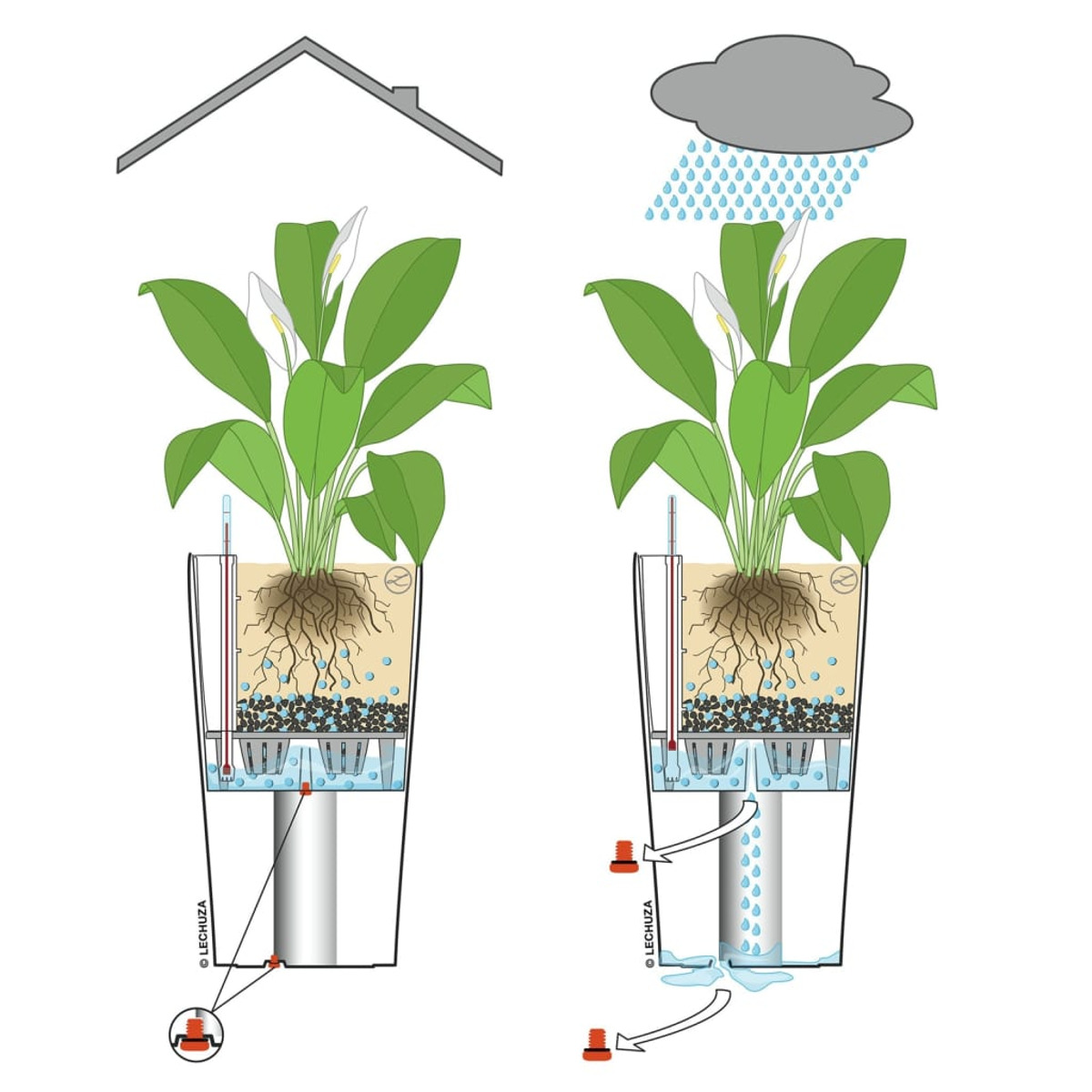 Diagramme d'un pot de plante avec un système d'arrosage montrant la pluie et l'irrigation.