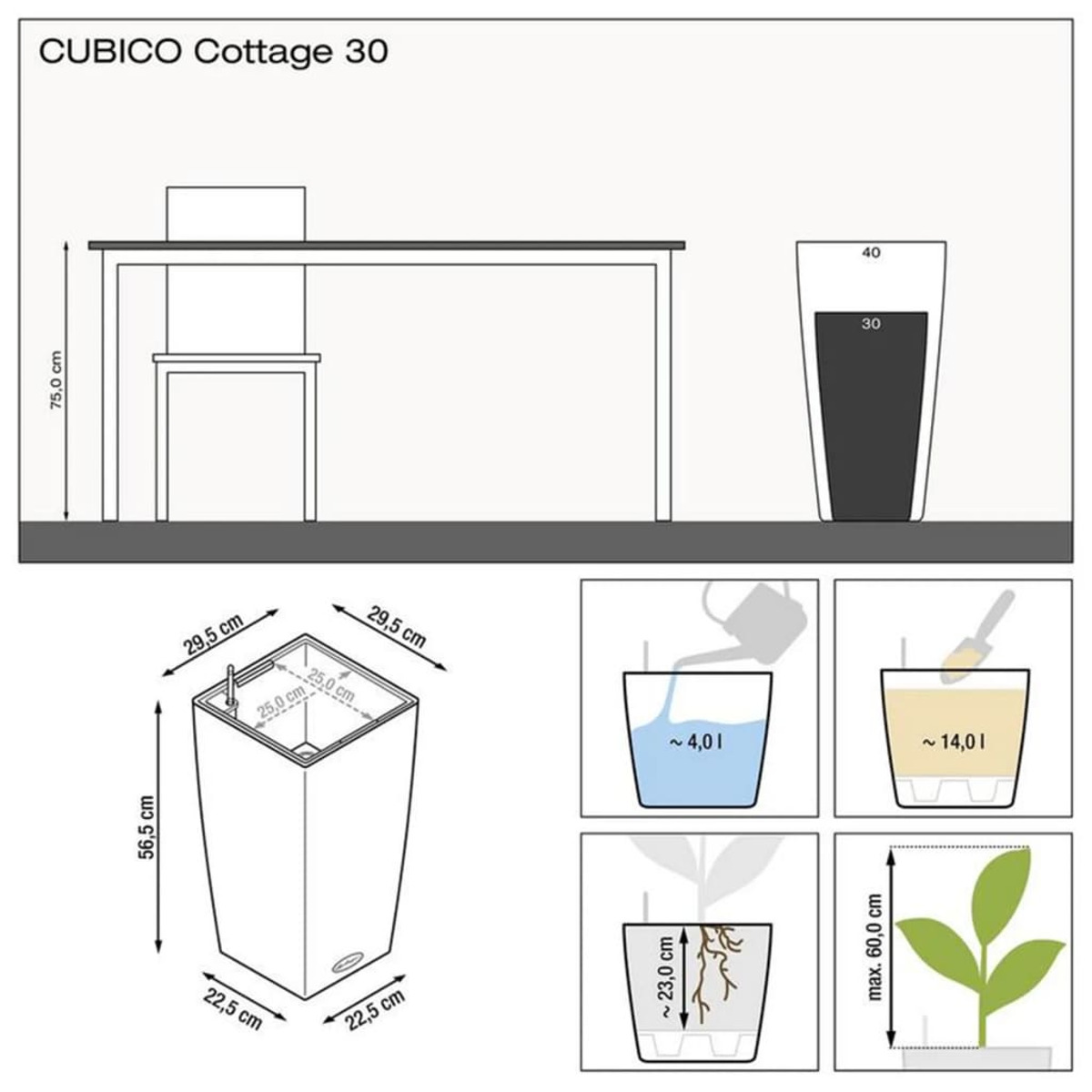 Diagramme d'un pot de plante, dimensions et niveaux d'eau. Inclut plante, pot et mesures.