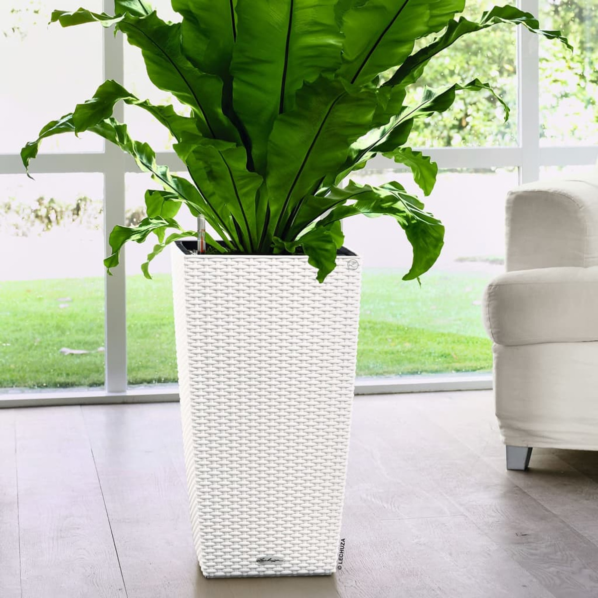 Jardinière blanche tissée avec une grande plante verte à l'intérieur, placée devant une fenêtre.