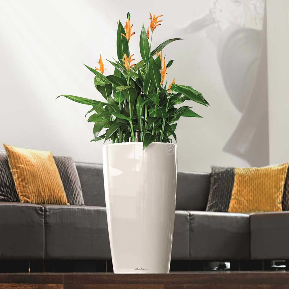 Hoher weißer Pflanzkübel mit einer Pflanze mit grünen Blättern und orangefarbenen Blüten.
