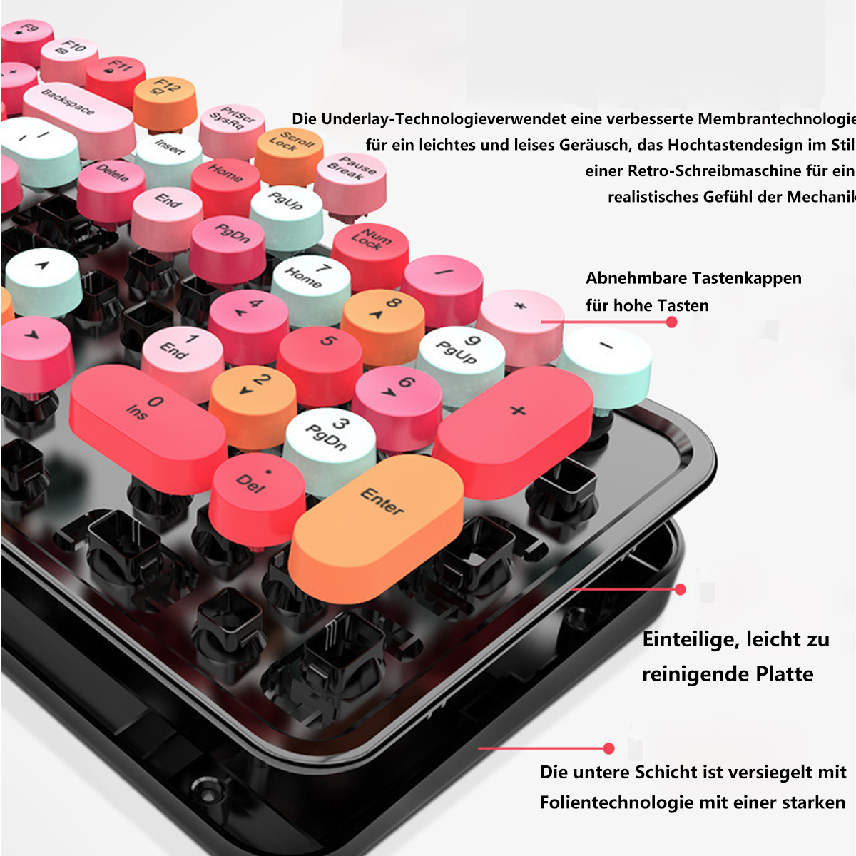 Ein klarer Displayschutz, eine Karte und Anweisungen.