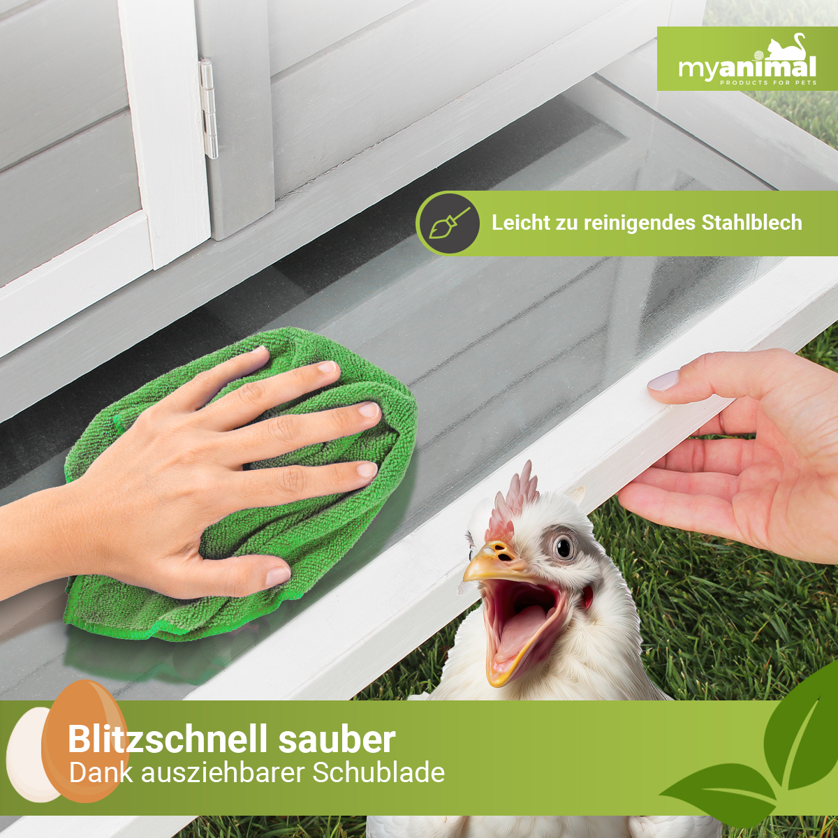 Eine Person reinigt einen weißen Hühnerstall mit einem grünen Tuch; ein Huhn schaut zu.