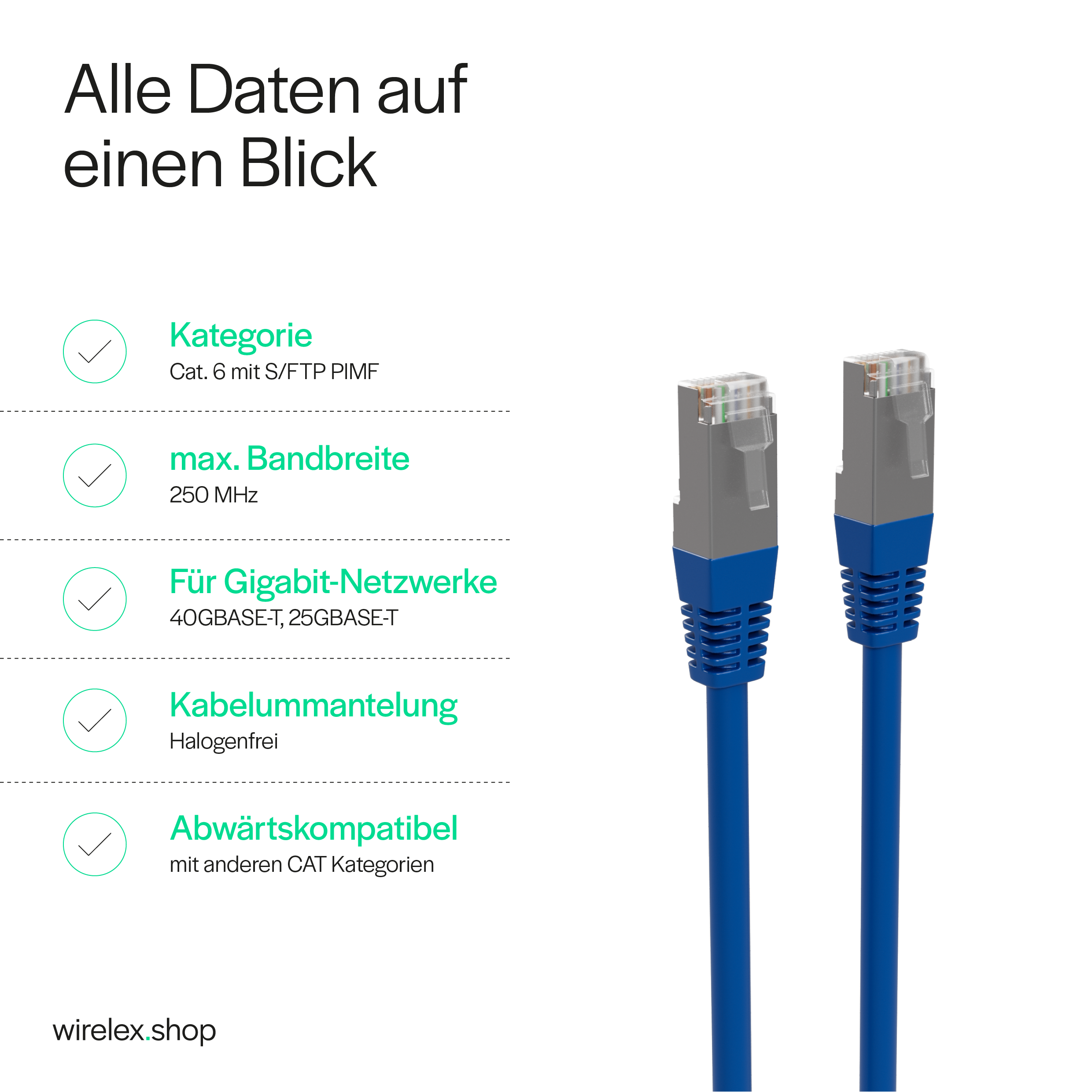 Zwei blaue Netzwerkkabel mit grauen Steckern und Text zu Netzwerkspezifikationen.
