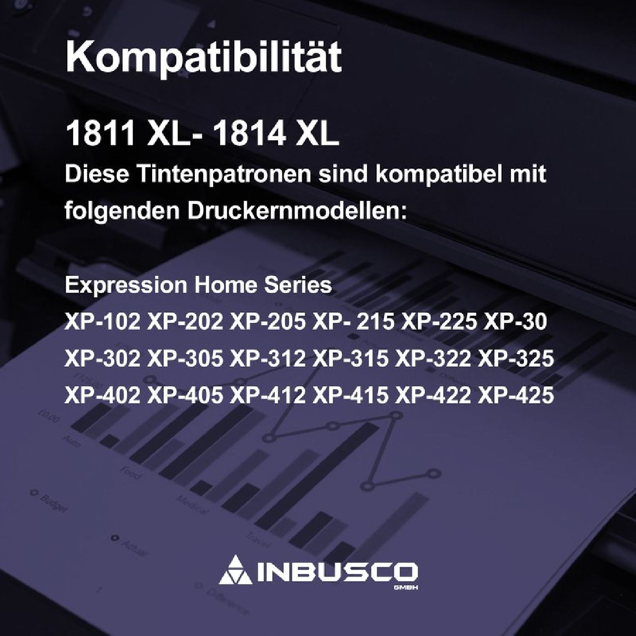 INBUSCO / KUBIS Tintenpatrone BK SET (2xT1811BK) ReinigungT1811 Mehrfarbig