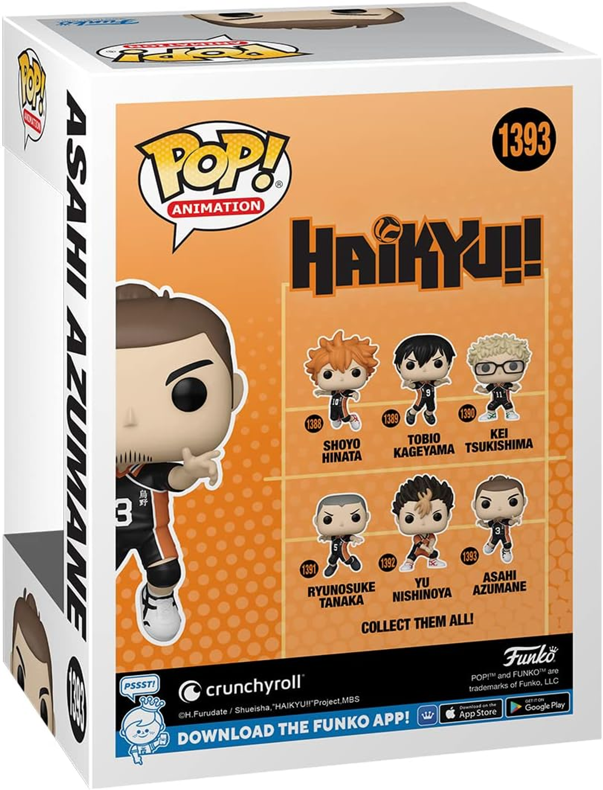 Rückseite einer Haikyu Pop! Animation-Box mit Charakteren und Text.