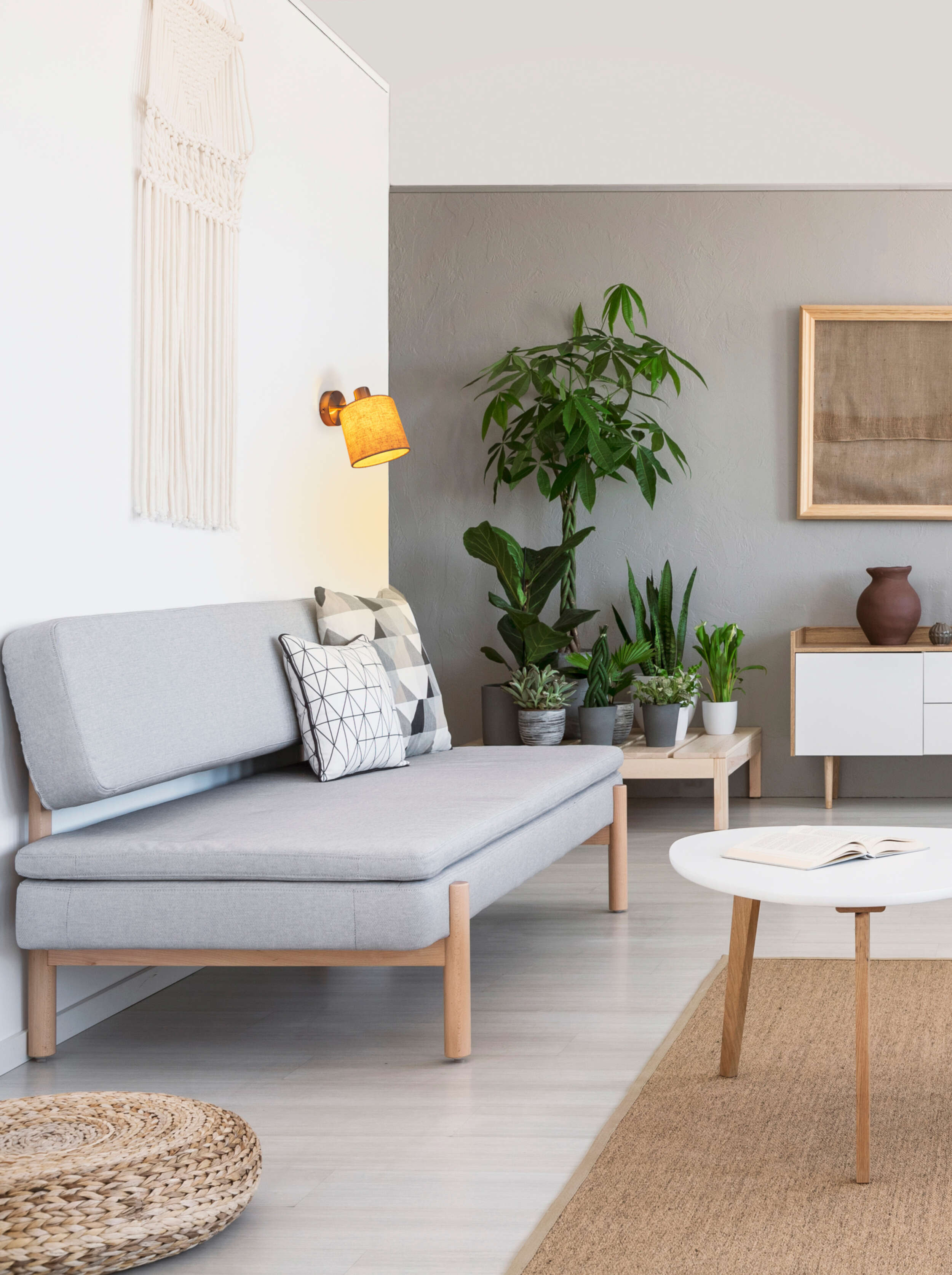 Ein Wohnzimmer mit Sofa, Pflanzen und einem runden Beistelltisch.
