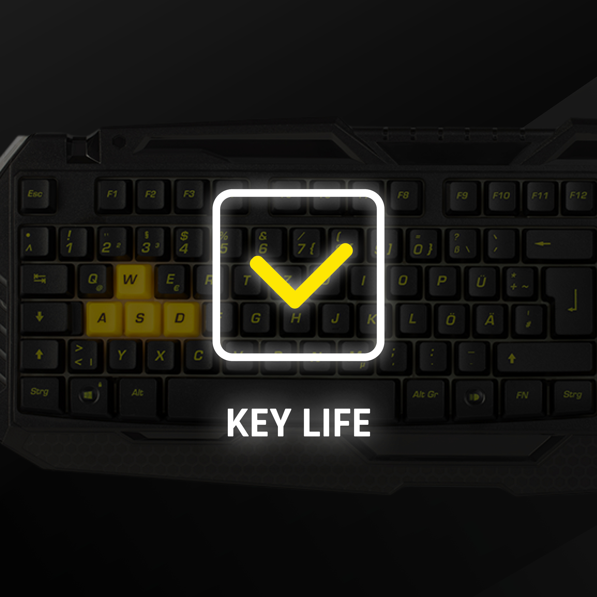 BVB-Gaming Standard SNAKEBYTE PC Tastatur, Snakebyte Tastatur,