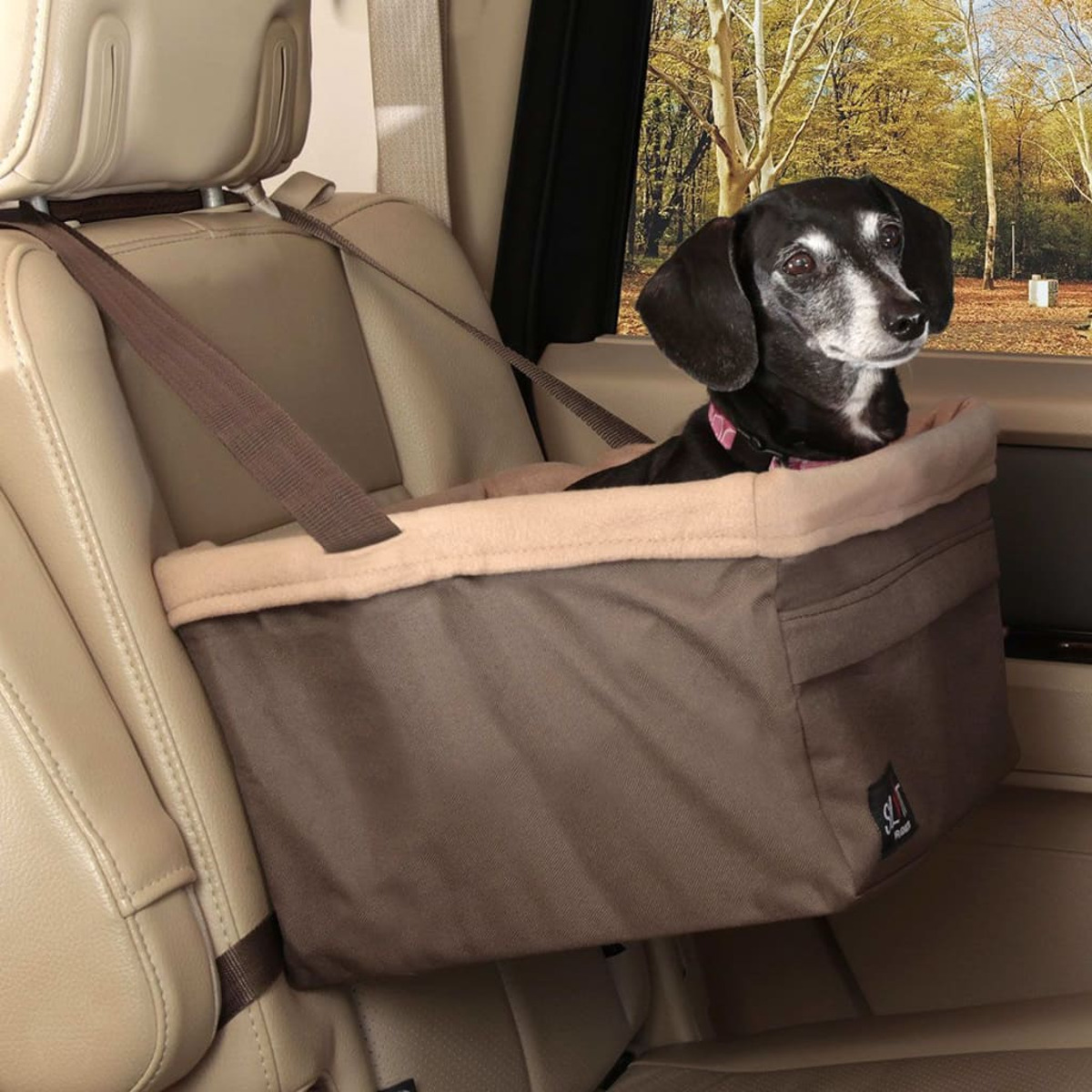 Ein Hund in einem Autositz. Der Hund ist schwarz und weiß. Der Sitz ist braun und beige.
