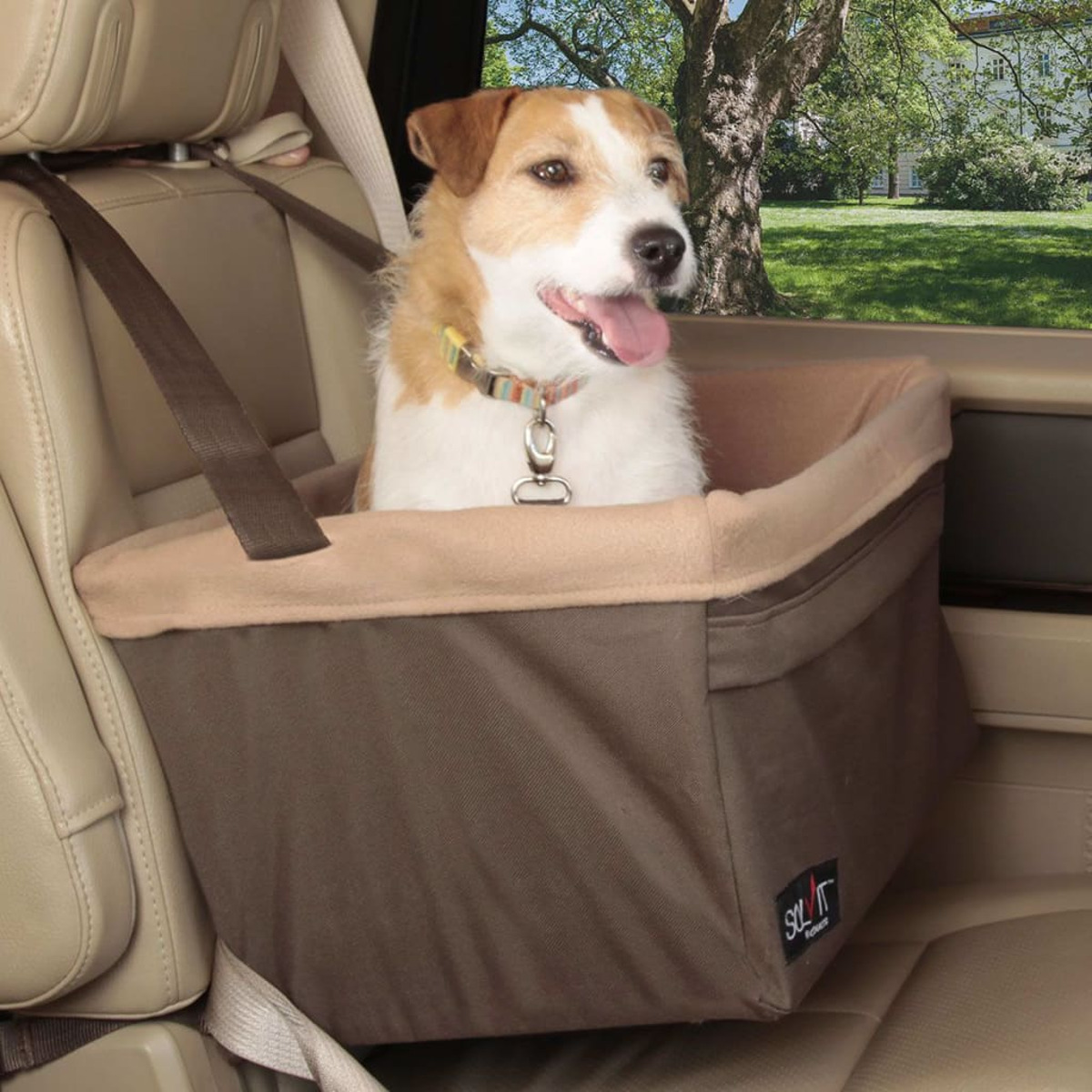 Hund in einem Autositz, in einem Fahrzeug.