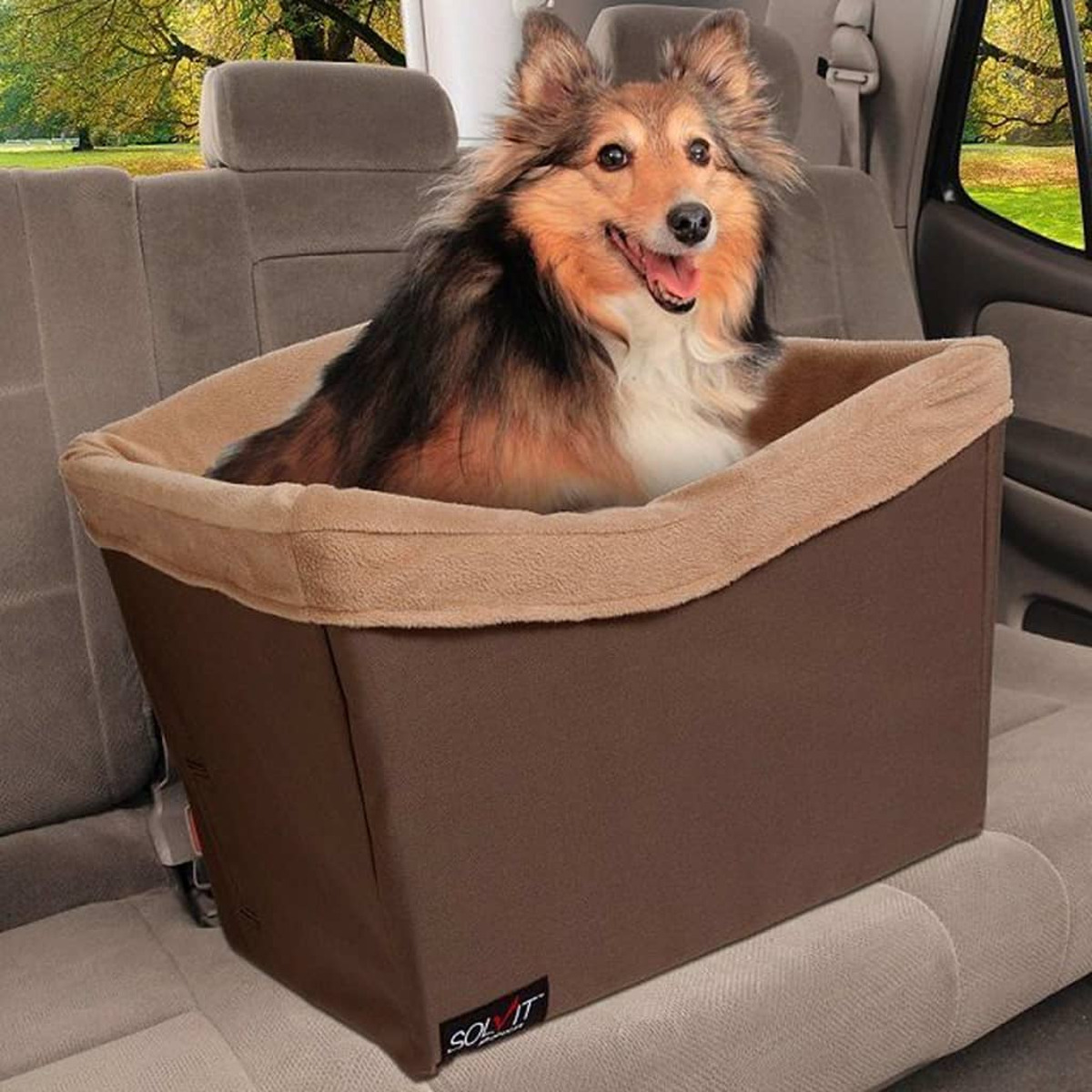 Hund in braunem Autositz. Brauner und tanfarbener Hund in einem braunen Sitz, in einem Auto. Grüner Hintergrund.