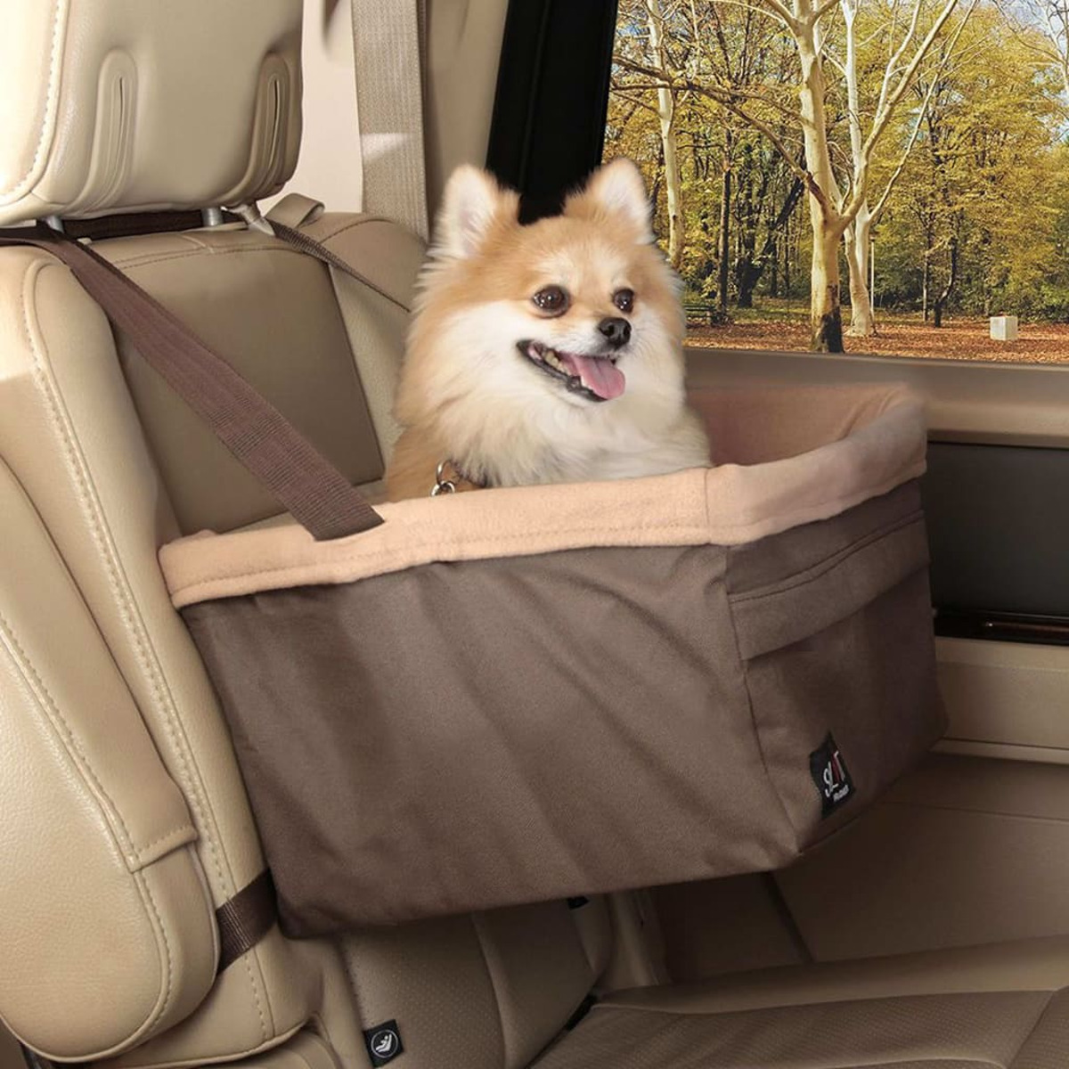 Hund in einem Autositz. Hellbrauner Hund. Beige und brauner Sitz, im Auto, Bäume im Hintergrund.