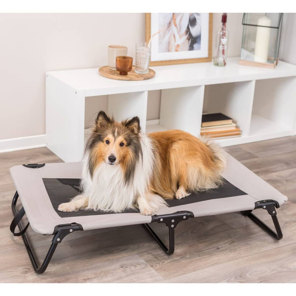 Un cane sdraiato su un letto rialzato. Ha un tessuto grigio. Sfondo bianco.