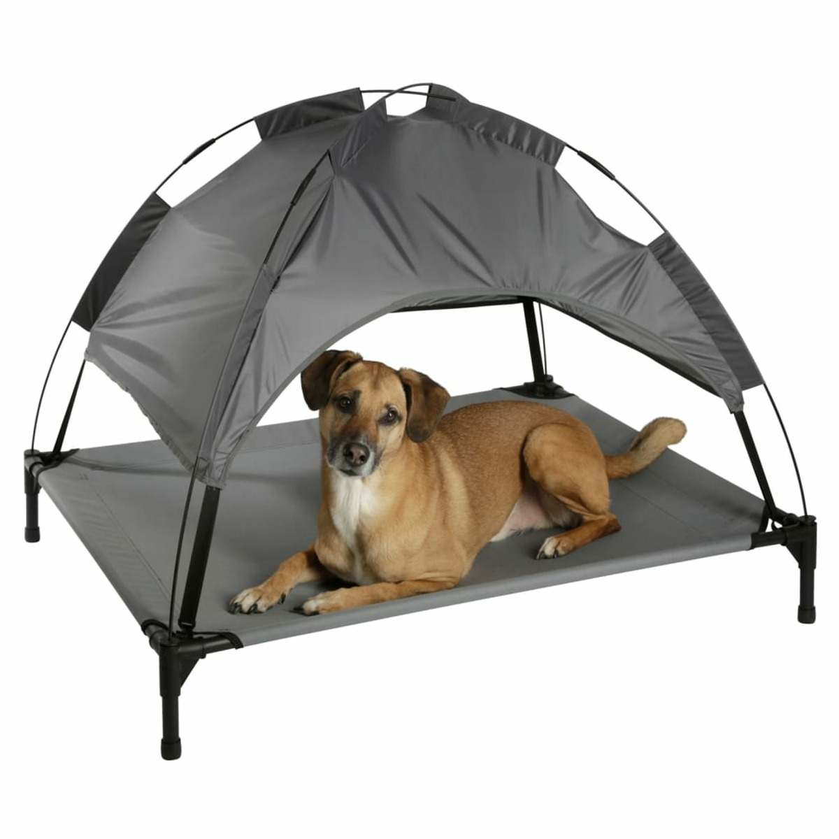 Hundebett mit grauem Baldachin. Ein brauner Hund liegt auf dem Bett und schaut in die Kamera.