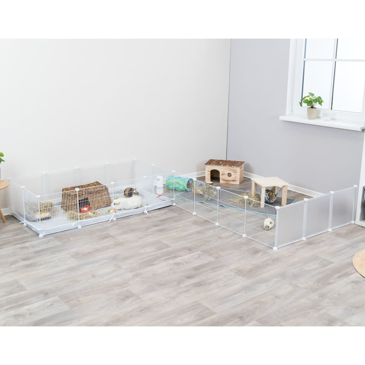 Meerschweinchen-Habitat mit mehreren Abteilen. Weißer Hintergrund.