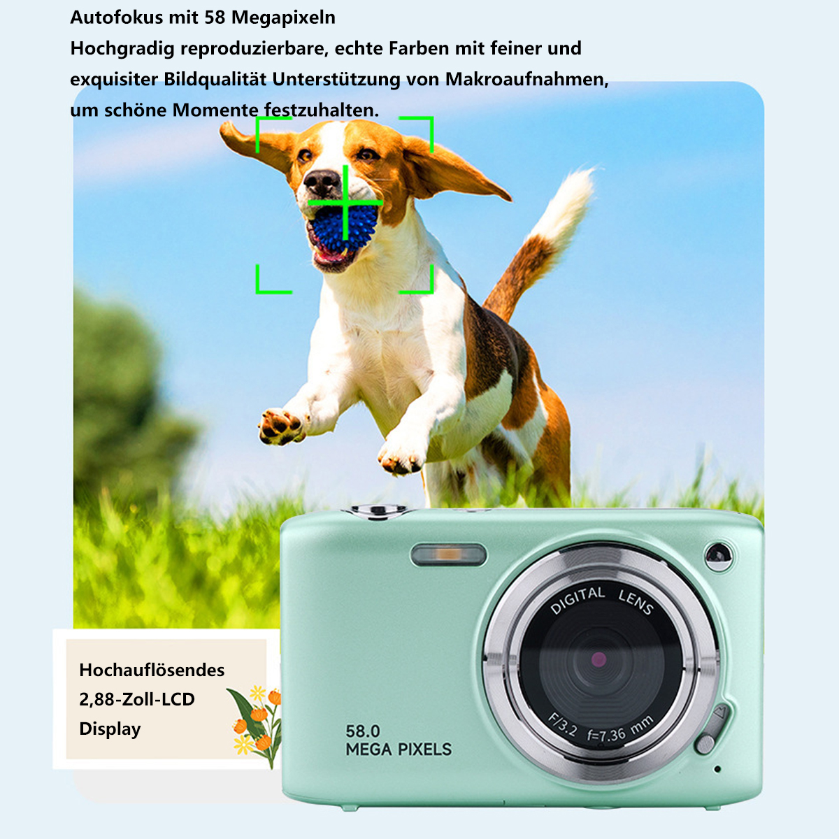 Grüne Kamera mit Hund, der einen Ball fängt. Display zeigt Kamerafunktionen.