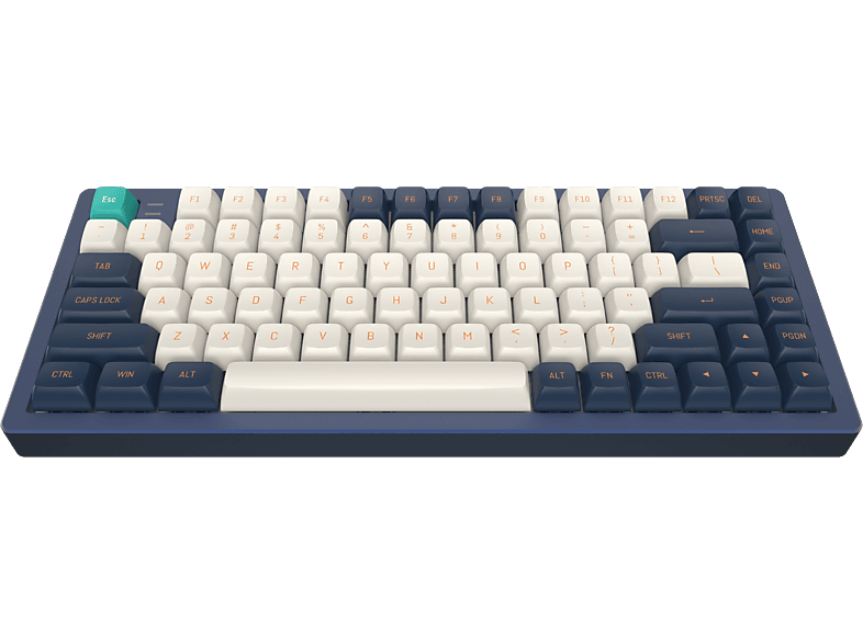 DARK PROJECT KD83A LTD Aluminium (ENG) - Gateron Cap Teal, Gaming ...