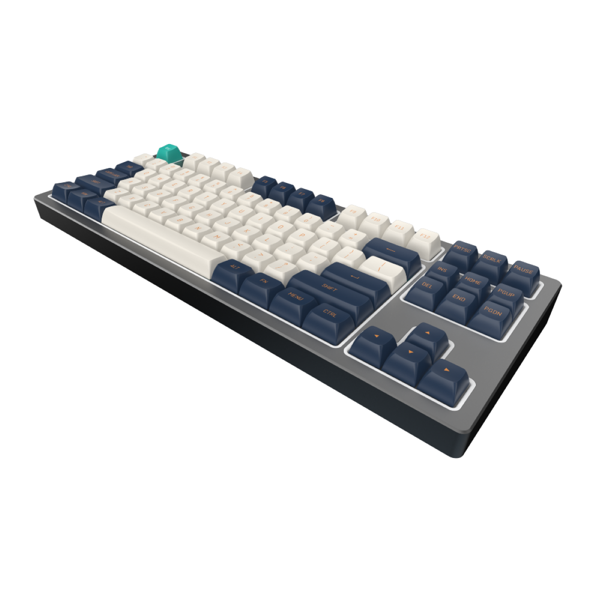 Mechanische Tastatur mit weißen und blauen Tasten, auf schwarzem Grund.