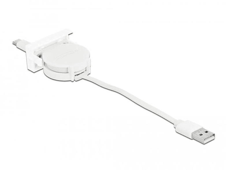 DELOCK Weiß Kabel, USB 81318