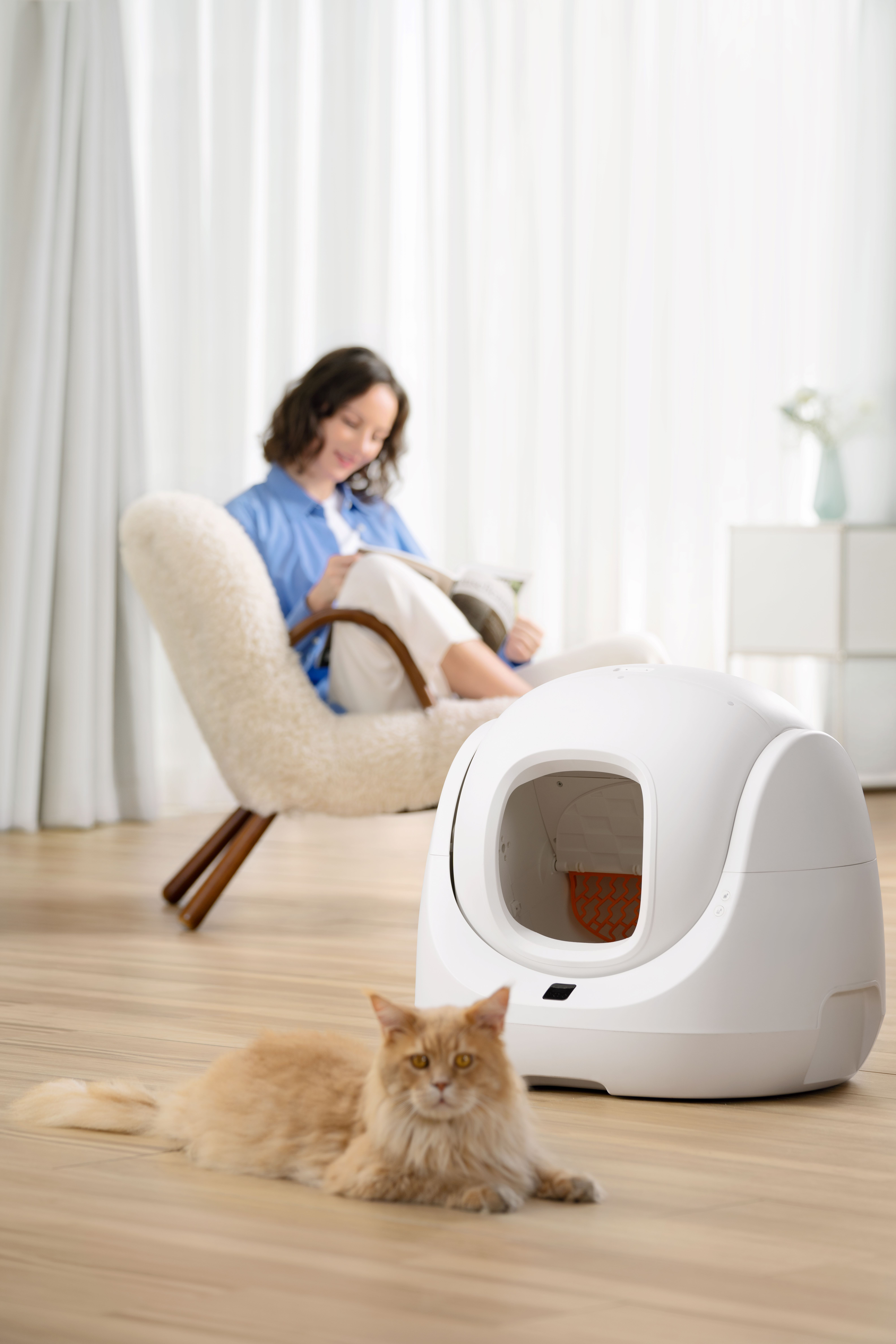 Woman reading near a cat and a white cat litter box. Home interior.
