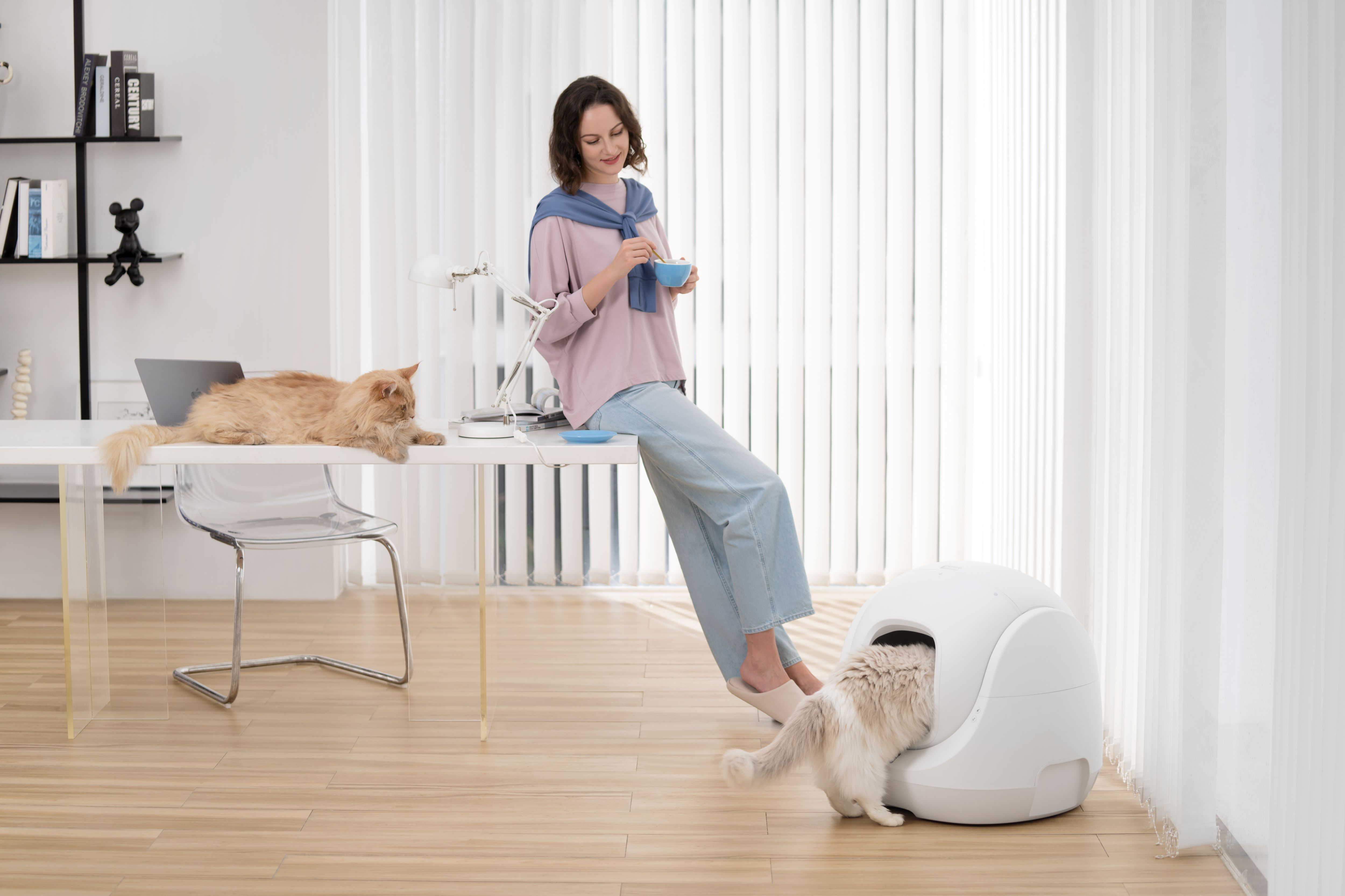 Woman sitting at a desk with a cat. Another cat in a litter box.
