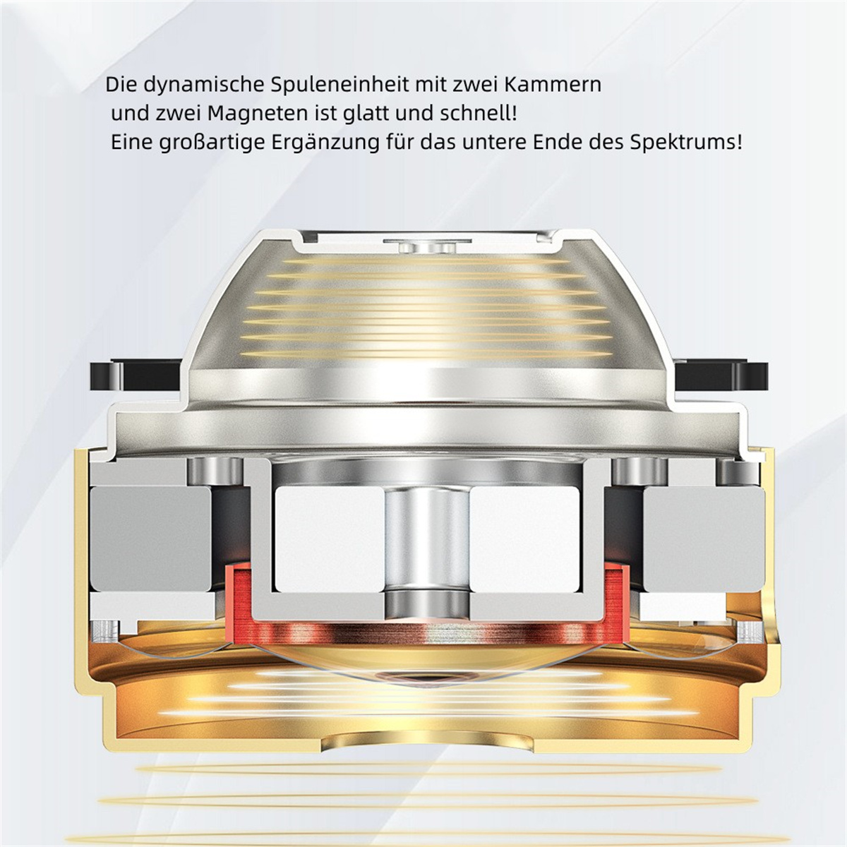 Querschnitt eines Lautsprechers. Das Design umfasst einen goldenen Sockel und Metallkomponenten.