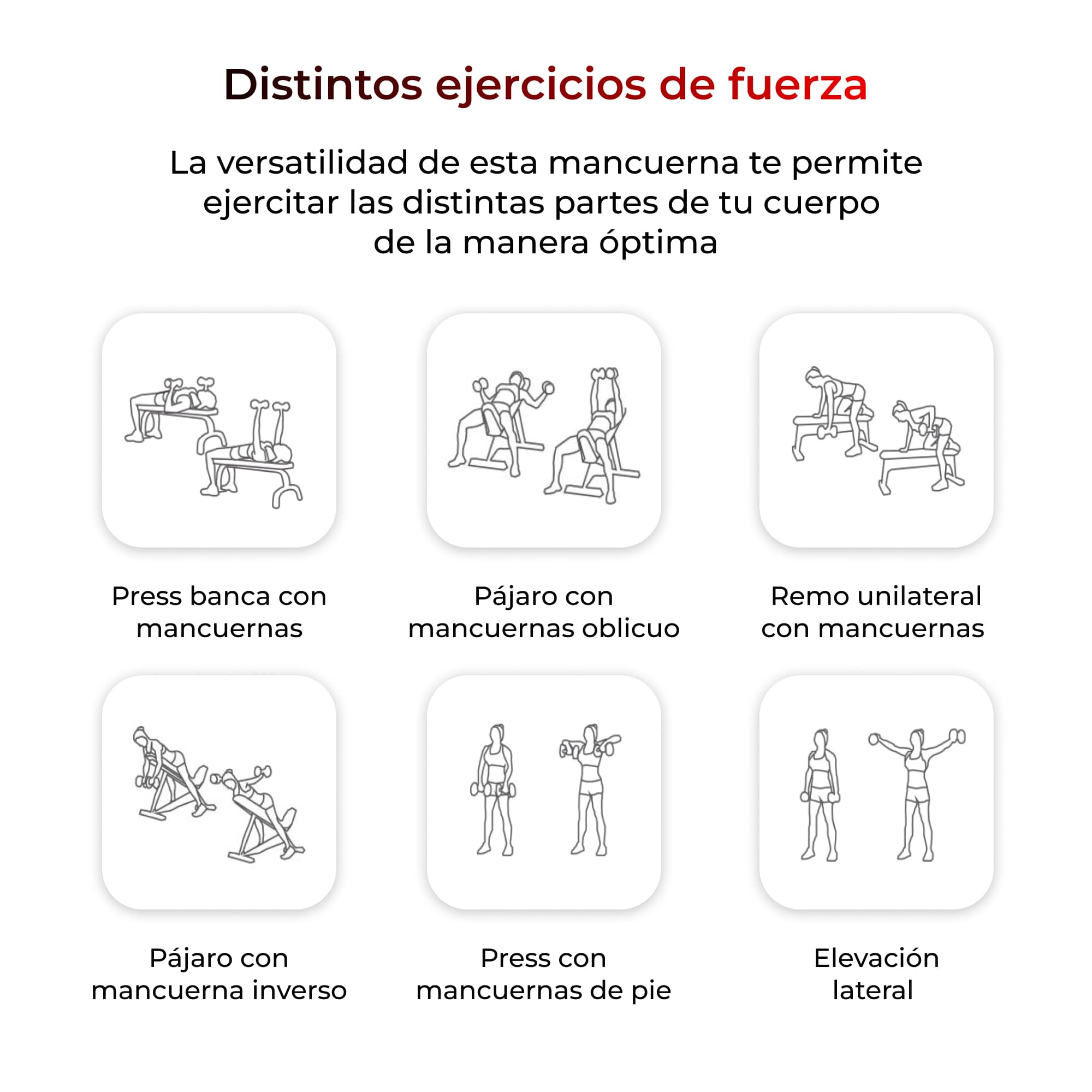 Diagrama de varios ejercicios con mancuernas, incluyendo press de banca, flyes y elevaciones laterales.