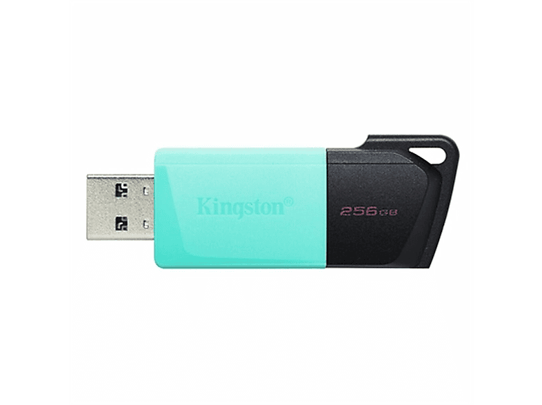 KINGSTON DTXM/256GB USB-Flash-Laufwerk (Schwarz, 256 GB)