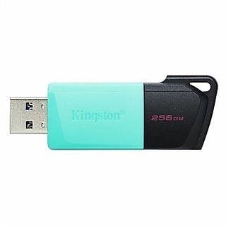Memoria USB 256 GB  - DataTraveler DTXM KINGSTON, Turquesa
