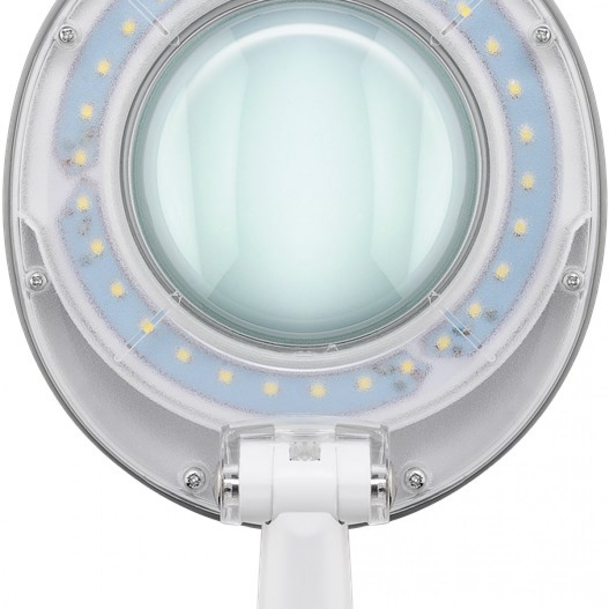 Nahaufnahme einer Lupe mit LED-Leuchten um die Linse. Sie befindet sich vor einem weißen Hintergrund.