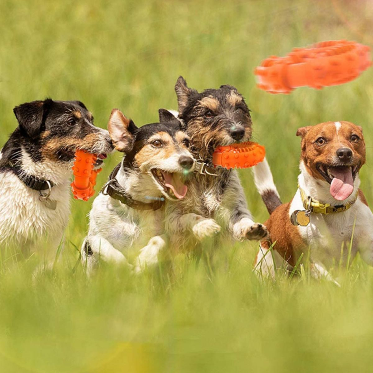 HUNKA Hundespielzeug für Beißspielzeug Hunde