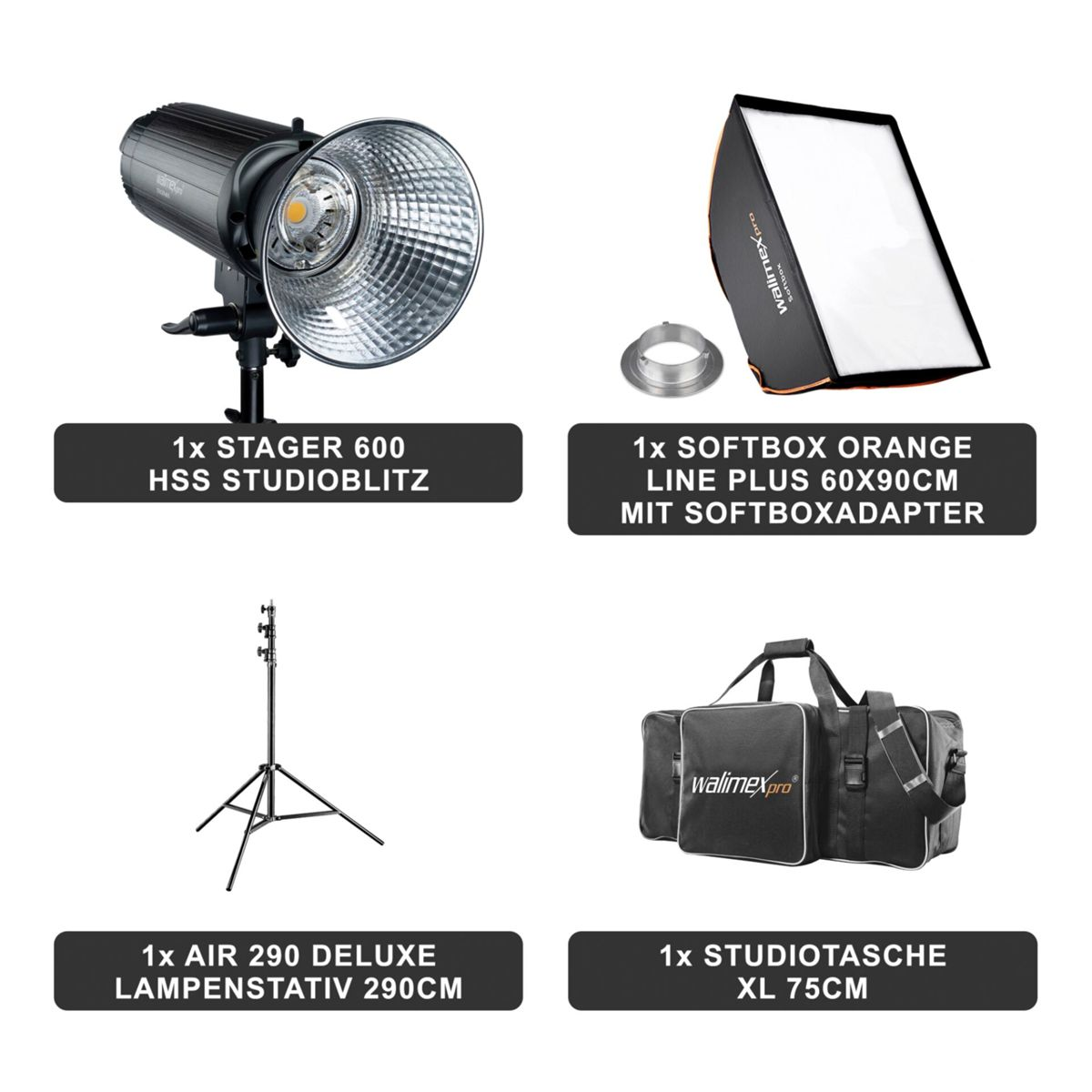 Studio-Lichtausrüstung: ein Licht, Softbox, Ständer und eine Tragetasche, alle mit Text beschriftet.