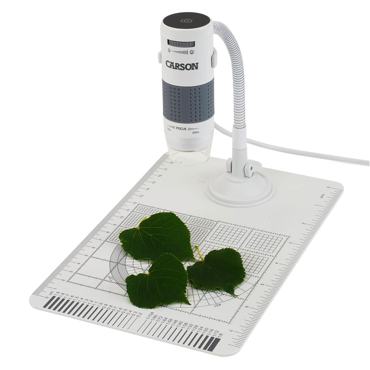 Microscopio - CARSON EFLEX