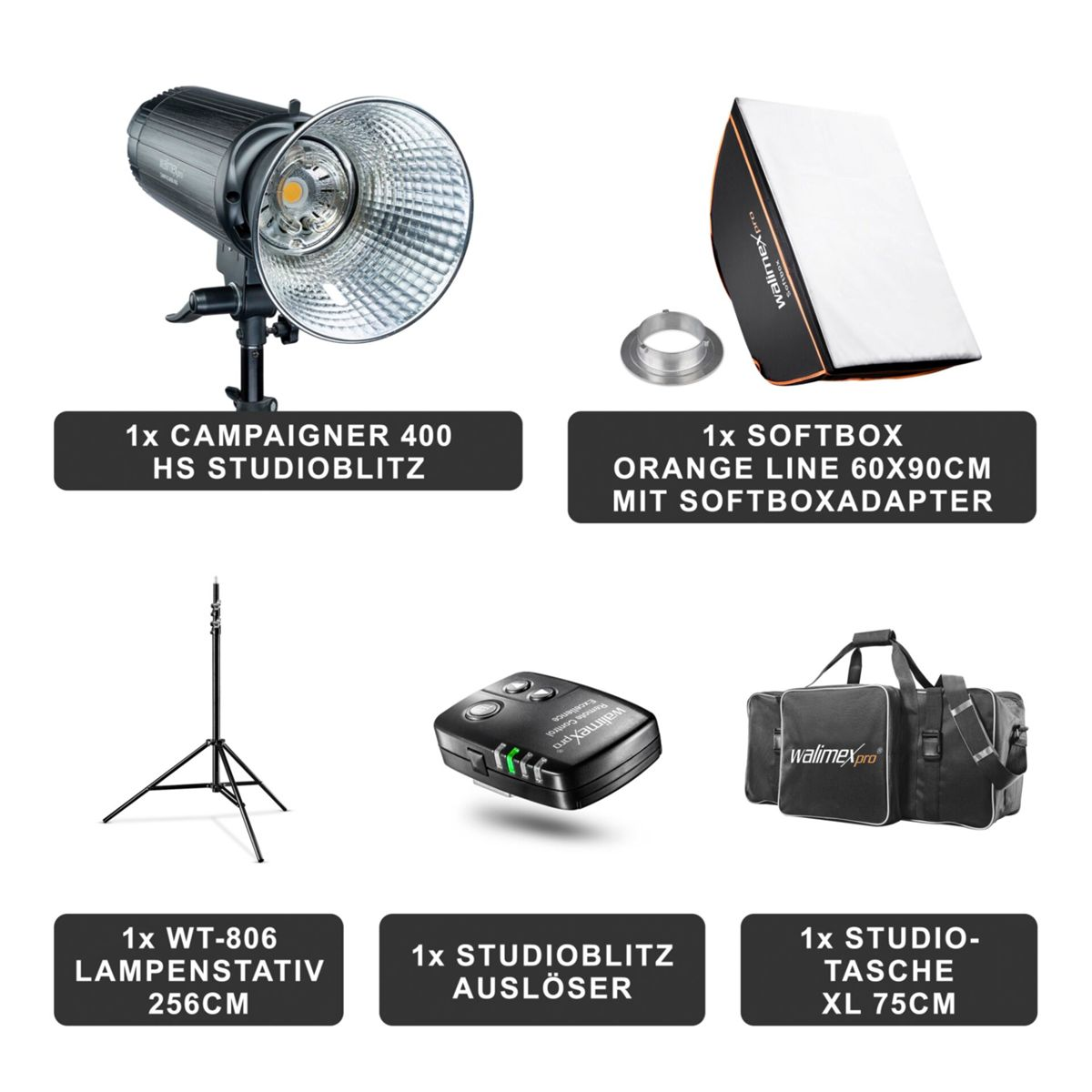 Studiobeleuchtung: Blitzlicht, Softbox, Ständer, Fernbedienung und Tasche, alles auf weißem Hintergrund.