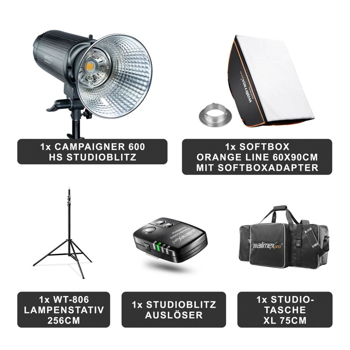 Studiobeleuchtungsausrüstung, einschließlich einer Leuchte, Softbox, Ständer, Auslöser und einer Tragetasche.