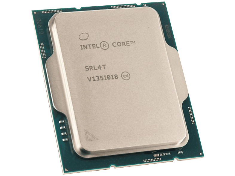 Celeron G6900 INTEL Prozessor