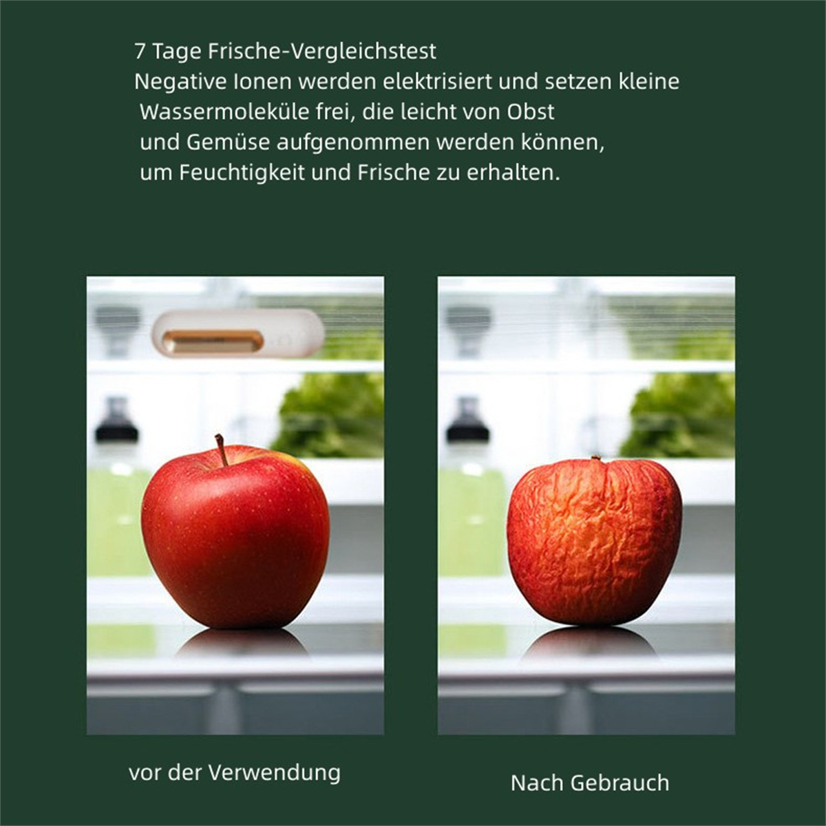 Zwei Äpfel, einer frisch, einer verschrumpelt, zeigen einen Frischevergleich.