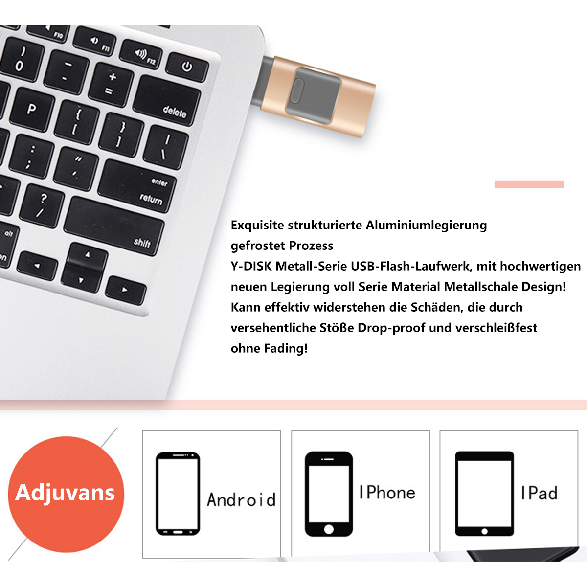 Ein Laptop und ein goldener USB-Stick mit Text. Zusätzliche Symbole zeigen die Kompatibilität an.