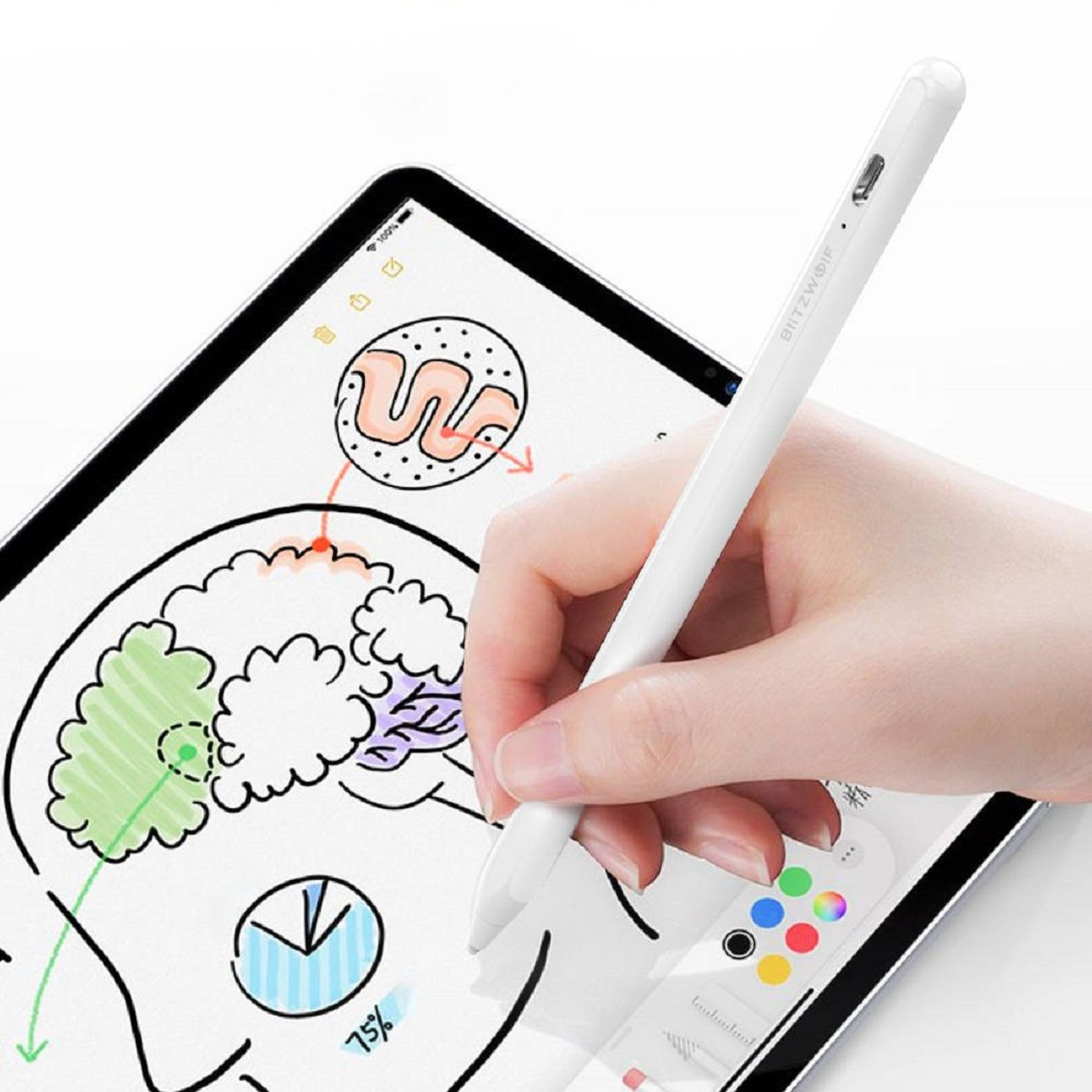 Eine Hand, die einen weißen Stift über einem Tablet hält, das Zeichnungen eines Gehirns und Diagramme zeigt.