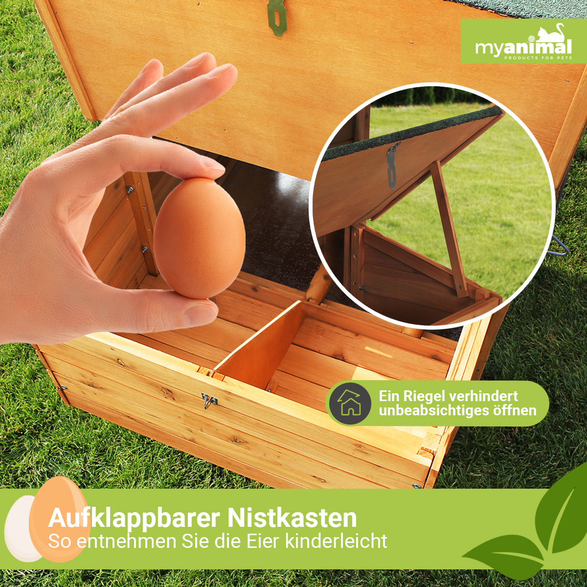 Eine Hand, die ein braunes Ei über einem hölzernen Hühnerstall hält. Geöffnete Stalltür zeigt das Innere.