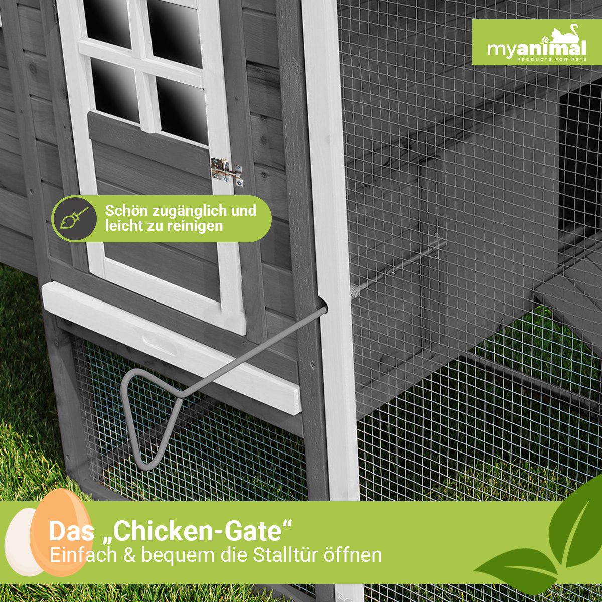 Ein Hühnerstall aus Holz mit einer Maschentür, weißer Verkleidung und einem Gras-Hintergrund.