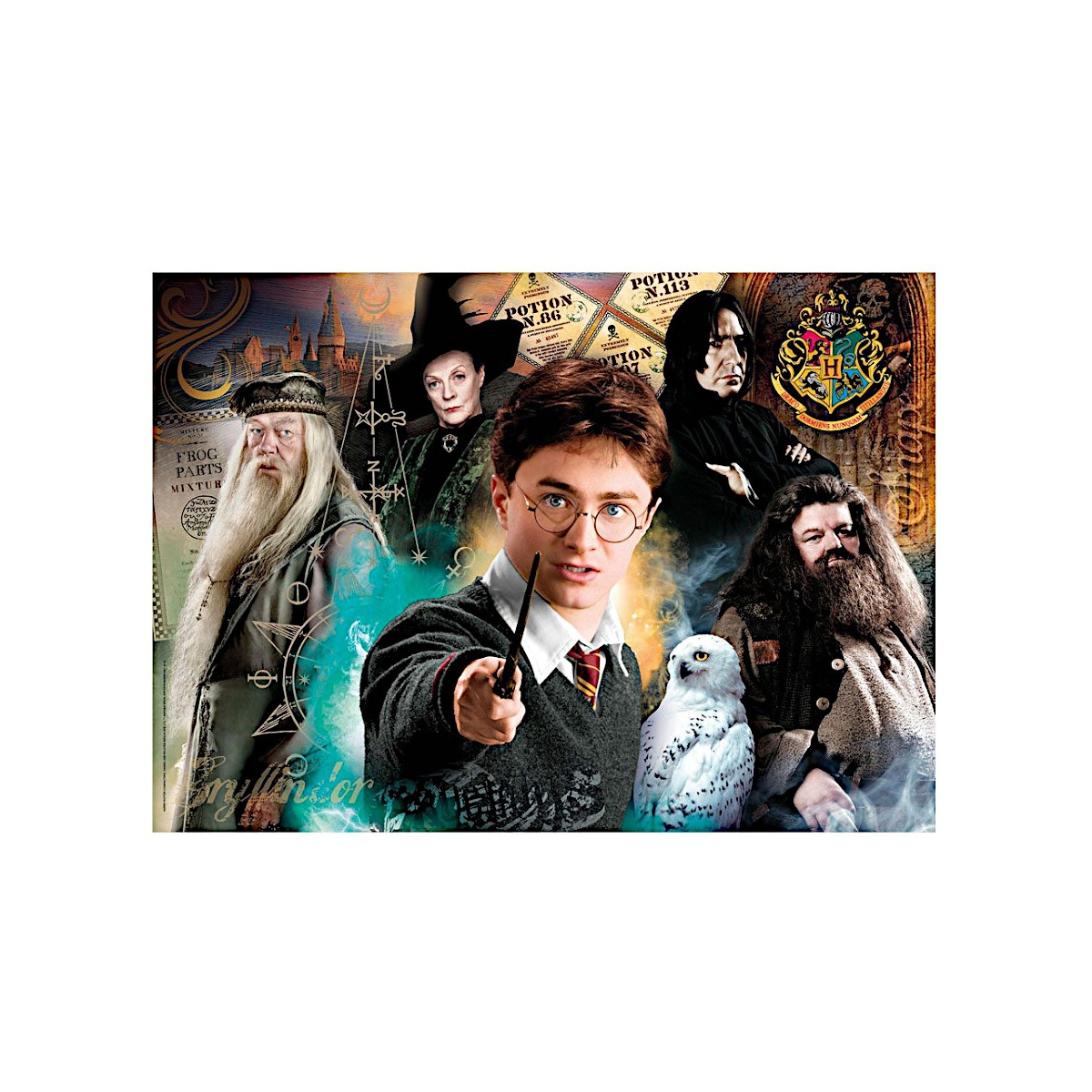 Harry Potter und Charaktere. Harry zeigt mit dem Zauberstab. Dumbledore, Snape, Hagrid und andere anwesend.